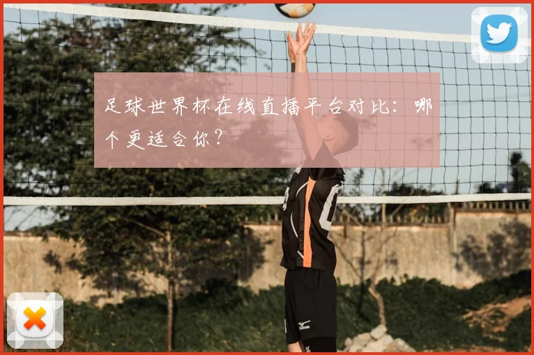足球世界杯在线直播平台对比:哪个更适合你?