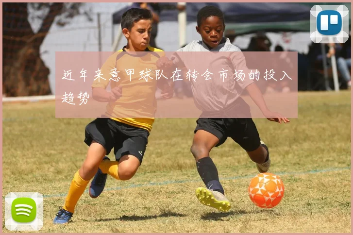 近年来意甲球队在转会市场的投入趋势